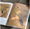 《宋元花鸟小品抉微》第一辑+第二辑，16开平装，段奇编，浙江人民美术出版社2025年一版一印，单册100页，每册单价98元，售价78元，两册合售149元。 商品缩略图11