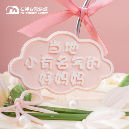 小有名气妈妈·2025母亲节斑斓与水果口味动物奶油蛋糕 商品图2