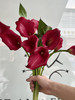国产花材-【马蹄莲】红色 商品缩略图1