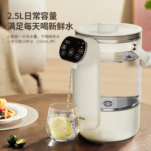 HYUNDAI韩国现代电热水壶（电开水瓶）RC-K25A 商品图1