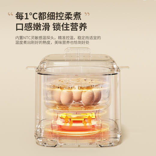 HYUNDAI韩国现代液体加热器(煮蛋器)NE-250A 商品图3