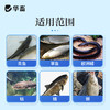 华畜甲苯咪唑溶液指环清水产养殖池塘指环虫三代虫杀灭寄生虫鱼药 商品缩略图4