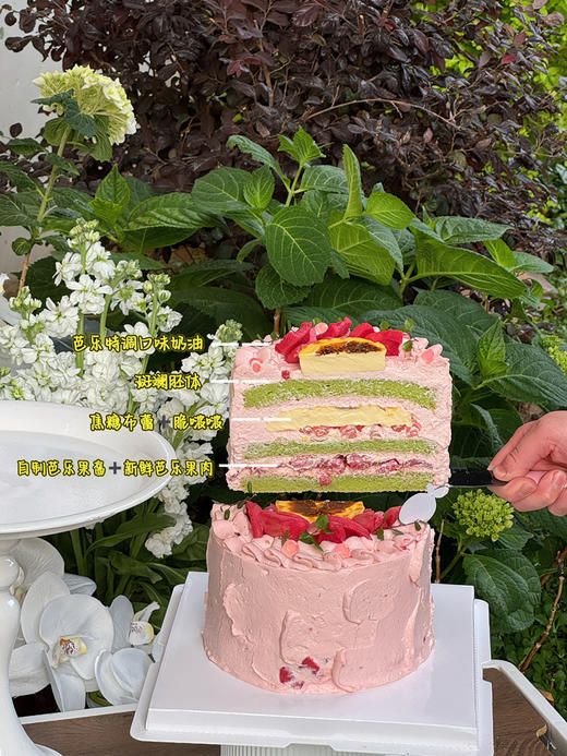 【低糖】芭乐布蕾 商品图1