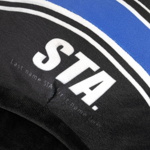 S.LAB | NASA赛道日系列头盔抱枕 商品图8