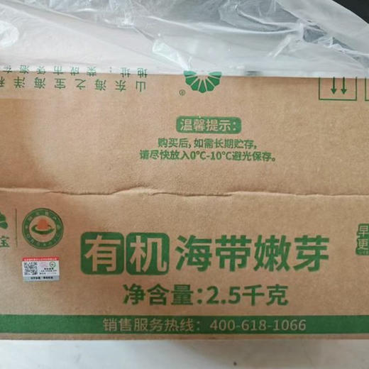 有机海带（盐渍） 鲜嫩采收 肉质薄 口感好 中通/极兔快递 商品图7