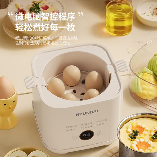 HYUNDAI韩国现代液体加热器(煮蛋器)NE-250A 商品图1