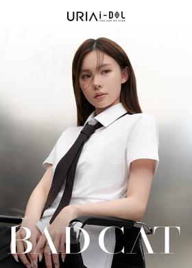 I-DOL BADCAT 暹罗棕/土耳其蓝/埃及灰 硅水凝胶（半年抛型）