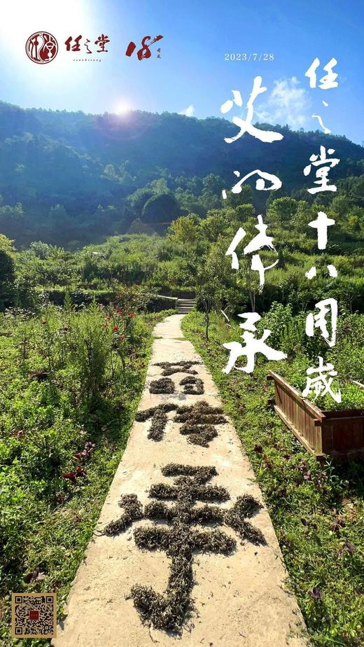 【任之堂18周年纪念版陈年艾条（2004年陈年艾条）】 商品图4