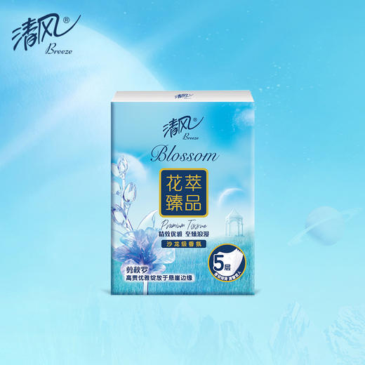 清风牌花萃手帕纸5层6张12包 商品图1