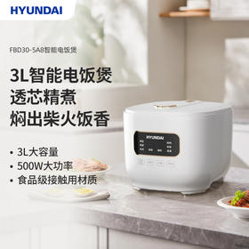 HYUNDAI(韩国现代)智能电饭煲FBD30-5A8