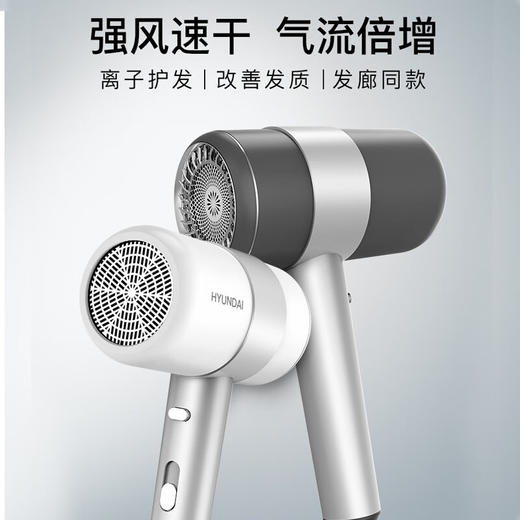 HYUNDAI(韩国现代)时尚降噪美发电吹风  YH5300 商品图0