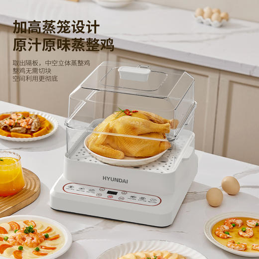 HYUNDAI韩国现代多功能电蒸锅XX-DZG08 商品图4
