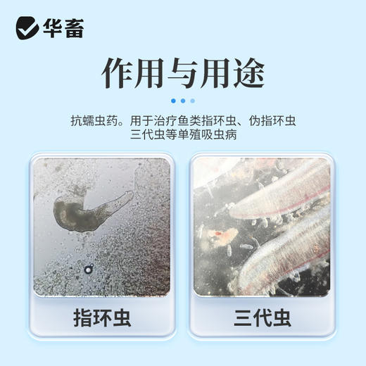 华畜甲苯咪唑溶液指环清水产养殖池塘指环虫三代虫杀灭寄生虫鱼药 商品图1