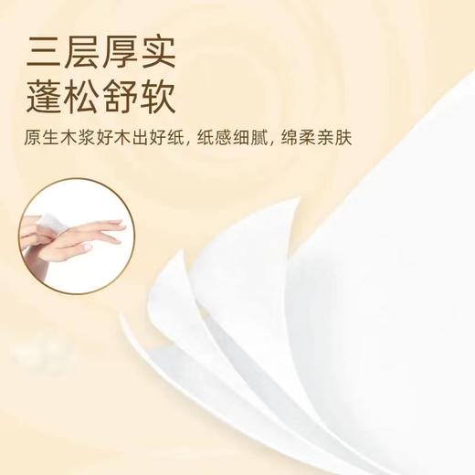 清风超质感系列抽纸24包（3层110抽）AR33LS 商品图7