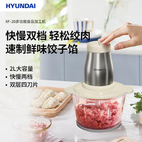 HYUNDAI韩国现代多功能食品加工机XF-20