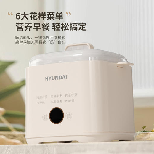 HYUNDAI韩国现代液体加热器(煮蛋器)NE-250A 商品图4