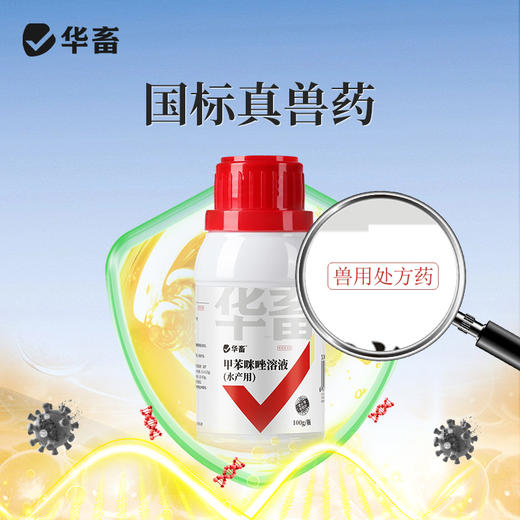 华畜甲苯咪唑溶液指环清水产养殖池塘指环虫三代虫杀灭寄生虫鱼药 商品图3