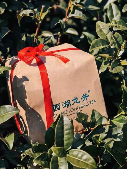 50g/⁠罐39明前茶/茶叶采摘当天现采现炒制！⁪基地直邮 商品图1