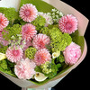 《春雾浮光》奶油桃子木绣球花束 商品缩略图4