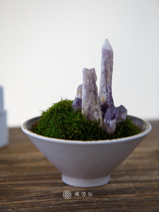 水晶苔藓 商品图0