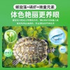 华畜龟粮中大龟高蛋白乌龟饲料草龟用巴西龟通用粮食黄缘高钙龟粮 商品缩略图4