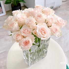 云天化辛西娅40公分