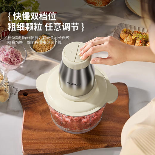 HYUNDAI韩国现代多功能食品加工机XF-20 商品图4