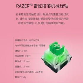 雷蛇（Razer）黑寡妇蜘蛛V3 机械键盘 游戏电竞电脑 全新透明机械轴 RGB灯效带腕托 104键 绿轴