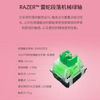 雷蛇（Razer）黑寡妇蜘蛛V3 机械键盘 游戏电竞电脑 全新透明机械轴 RGB灯效带腕托 104键 绿轴 商品图0