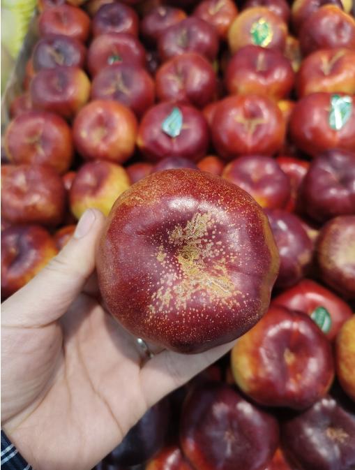 红蟠桃一斤 商品图1