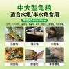 华畜龟粮中大龟高蛋白乌龟饲料草龟用巴西龟通用粮食黄缘高钙龟粮 商品缩略图2