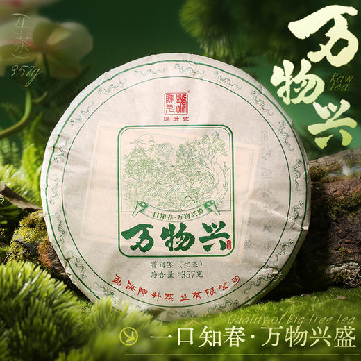 陈升号 2025年万物兴357g（生茶） 商品图0