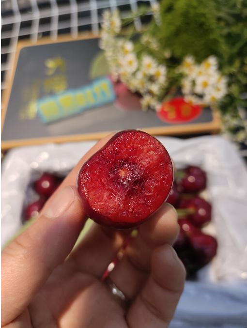 鹅八樱桃一斤 商品图1