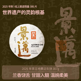 【茶王地系列】元昌号2025年景迈古树纯料357克生饼