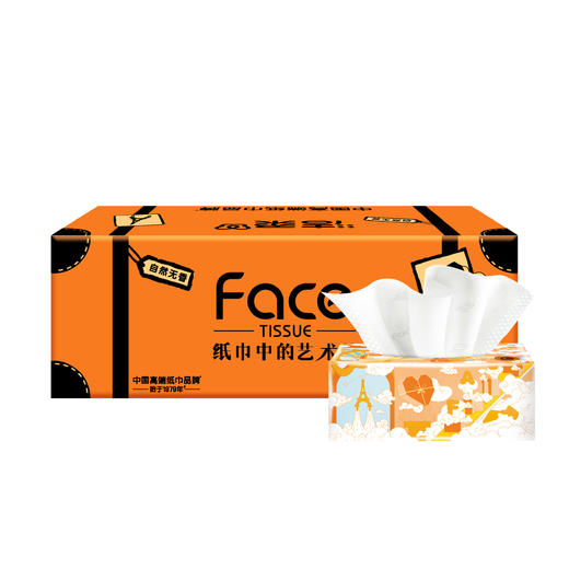 BR243-18E洁柔牌纸面巾(艺术巴黎软抽)90抽4层(18包装) 商品图3