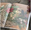 《宋元花鸟小品抉微》第一辑+第二辑，16开平装，段奇编，浙江人民美术出版社2025年一版一印，单册100页，每册单价98元，售价78元，两册合售149元。 商品缩略图6