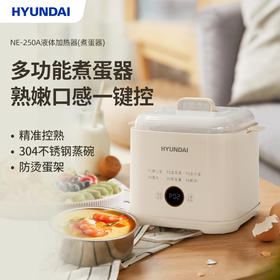 HYUNDAI韩国现代液体加热器(煮蛋器)NE-250A
