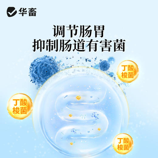 华畜酵皇1kg提高免疫力提高肠道消化 商品图2