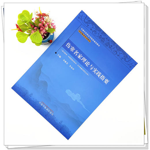 伤寒名家理论与实践指要 中医师承系列教材 李赛美 李金田 主编 中国中医药出版社 商品图1