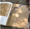 《宋元花鸟小品抉微》第一辑+第二辑，16开平装，段奇编，浙江人民美术出版社2025年一版一印，单册100页，每册单价98元，售价78元，两册合售149元。 商品缩略图8