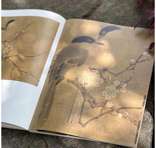 《宋元花鸟小品抉微》第一辑+第二辑，16开平装，段奇编，浙江人民美术出版社2025年一版一印，单册100页，每册单价98元，售价78元，两册合售149元。 商品图8