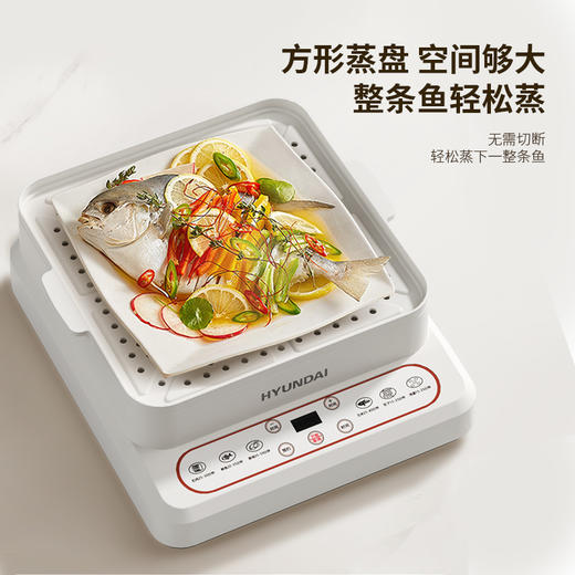 HYUNDAI韩国现代多功能电蒸锅XX-DZG08 商品图3