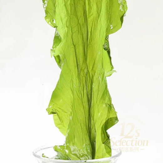 有机海带（盐渍） 鲜嫩采收 肉质薄 口感好 中通/极兔快递 商品图6