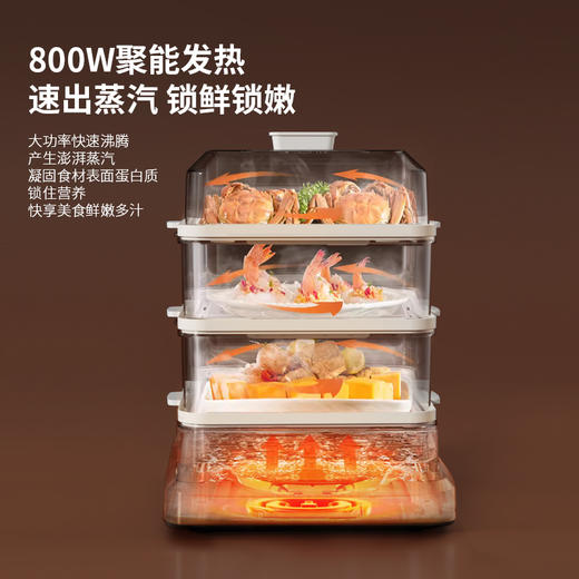 HYUNDAI韩国现代多功能电蒸锅XX-DZG08 商品图2