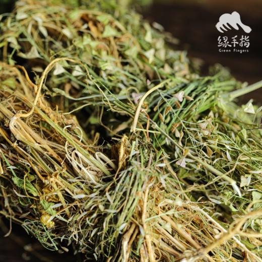 生态荠菜干（合作生产 ）| Eco-dried shepherd's purse | Coproduction 商品图4