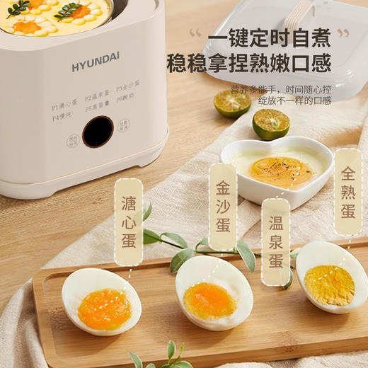 HYUNDAI韩国现代液体加热器(煮蛋器)NE-250A 商品图2