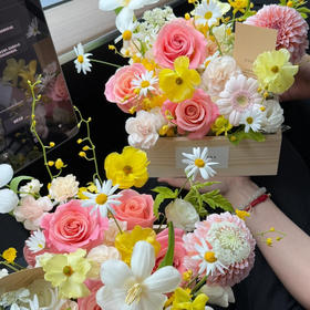 《春日派》精致中号花盒直径20厘米