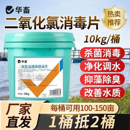 华畜二氧化氯速效消毒片水产养殖鱼塘净水鱼药杀菌消毒剂鱼虾池塘 商品图1