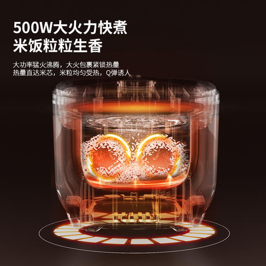 HYUNDAI(韩国现代)智能电饭煲FBD30-5A8 商品图2