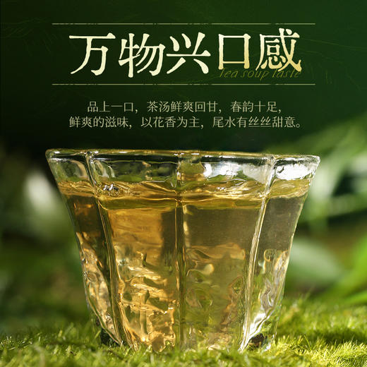 陈升号 2025年万物兴357g（生茶） 商品图4